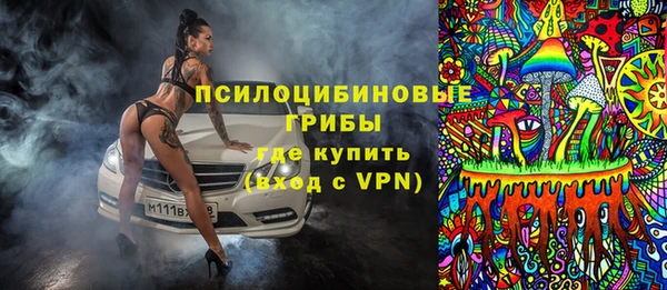 apvp Алзамай