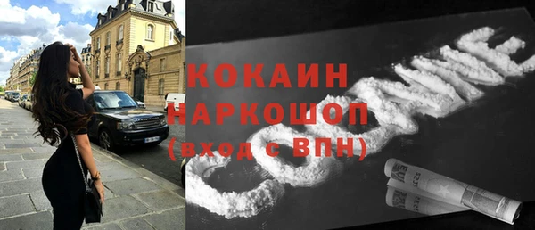 сатива Армянск