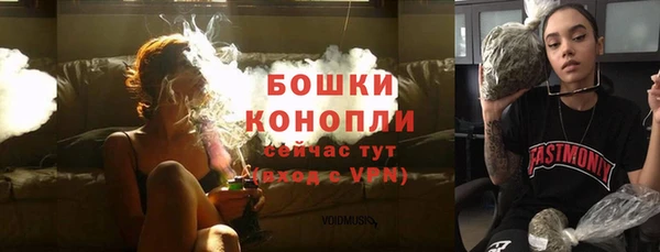 сатива Армянск
