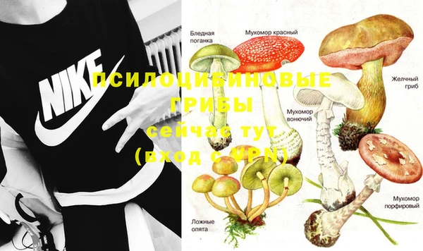 молекула духа Алексин