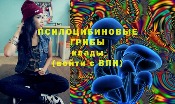 PSILOCYBIN Арсеньев