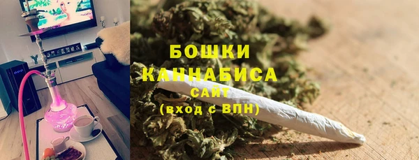 сатива Армянск