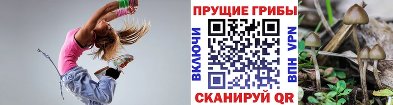 Псилоцибиновые грибы Magic Shrooms  закладка  omg зеркало  это формула  Ноябрьск 